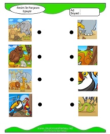 Resim ile Parçasını Eşleştir Çalışma Sayfaları